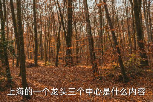上海的一個龍頭三個中心是什么內容