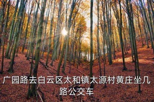 廣州太和太源村坐幾路車，廣園路去白云區太和鎮太源村黃莊坐幾路公交車