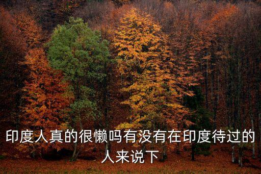 印度人真的很懶嗎有沒有在印度待過的人來說下