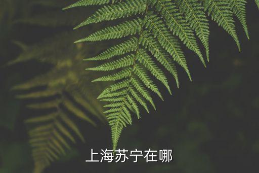 上海蘇寧在哪