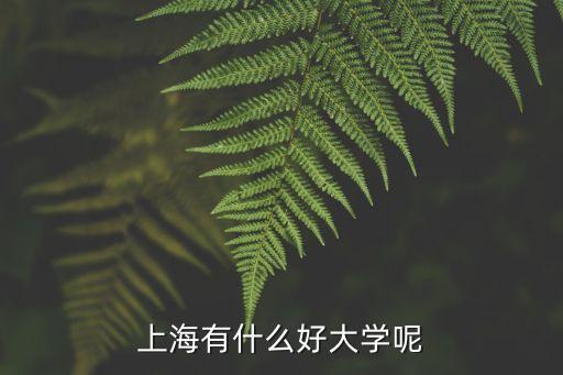 上海市本科院校大學(xué)排名，上海各高校的排名是怎樣的