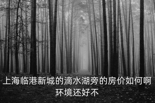 上海市臨港區(qū)域房價，臨港新城老蘆公路江山路樓盤現(xiàn)在新房房價是多少錢一個平方