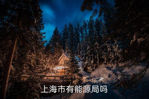 上海市崇明區(qū)能源管理中心，上海崇明縣解放路180號有這個地址嗎