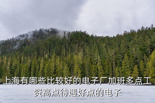 上海市圣優電子科技有限公司怎么樣，上海圣韻汽車電子誰知道怎么樣啊 一月多少錢