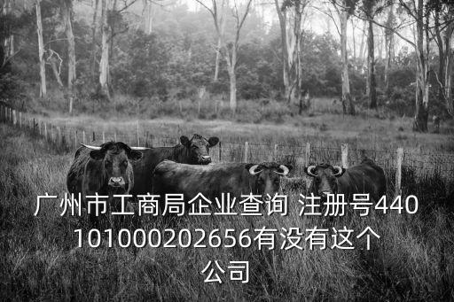 廣州市工商局企業查詢 注冊號440101000202656有沒有這個公司