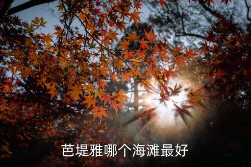 芭堤雅海灘，請問芭提雅相對比較好的沙灘在什么位置