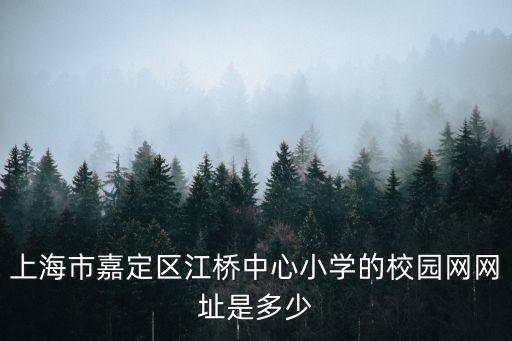 上海市嘉定區江橋中心小學的校園網網址是多少