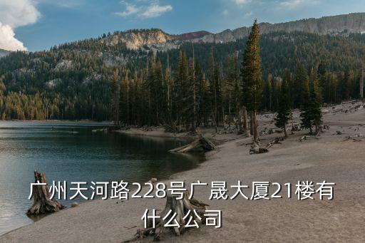 廣州廣晟大廈里面有什么公司，廣州天河路228號廣晟大廈21樓有什么公司