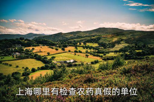 上海市農委執法大隊，上海市農委執法大隊六大隊隊長是誰啊