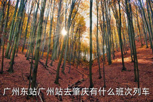 從廣州到肇慶站有動車嗎，廣州有和諧號去肇慶嗎 要多少錢