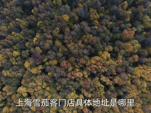 上海雪茄客門店具體地址是哪里