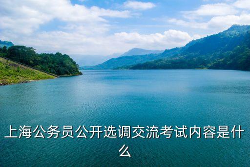 上海公務員公開選調交流考試內容是什么
