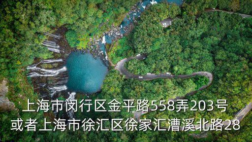 上海市閔行區金平路558弄203號或者上海市徐匯區徐家匯漕溪北路28