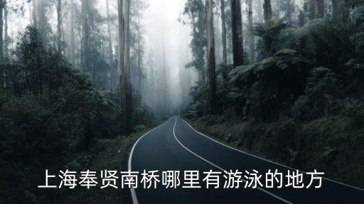 上海市奉賢區南橋有沒有游泳館，上海奉賢南橋哪里有游泳的地方