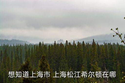 想知道上海市 上海松江希爾頓在哪