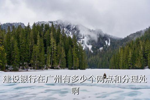 建設銀行在廣州有多少個網點和分理處啊