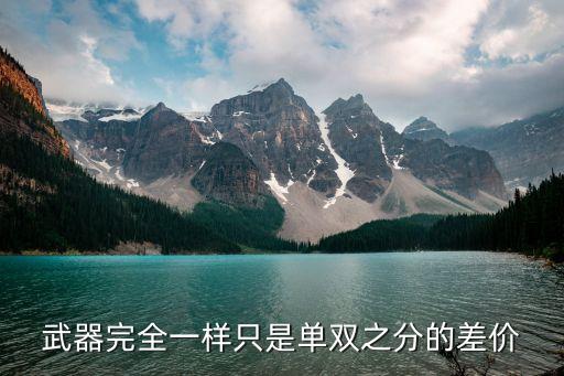 武器完全一樣只是單雙之分的差價