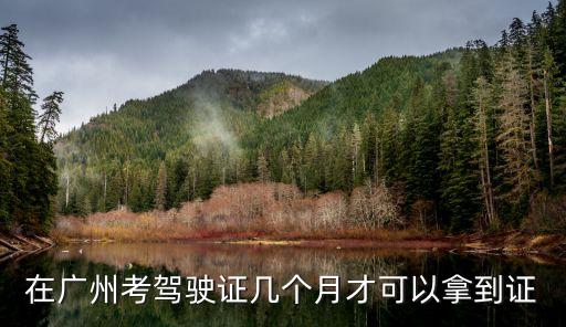 在廣州考駕駛證幾個月才可以拿到證
