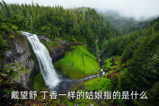 丁香一樣的姑娘，戴望舒 丁香一樣的姑娘指的是什么