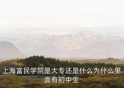 上海富民學院是大專還是什么為什么里面有初中生