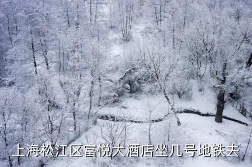 上海富悅大酒店上海市松江區(qū)，上海松江區(qū)富悅大酒店坐幾號(hào)地鐵去