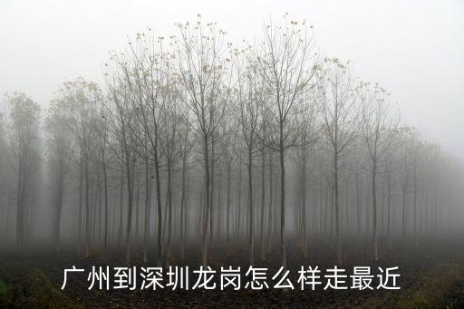 廣州到深圳龍崗區(qū)怎么走最近，誰知道從廣州白云區(qū)到深圳龍崗區(qū)怎么去給條線路大巴地鐵