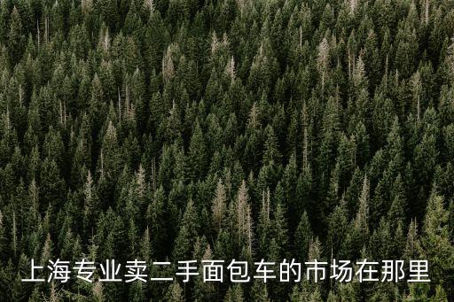 上海專(zhuān)業(yè)賣(mài)二手面包車(chē)的市場(chǎng)在那里