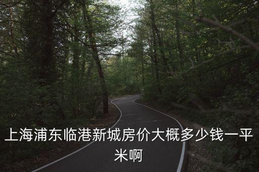 上海浦東臨港新城房價(jià)大概多少錢一平米啊