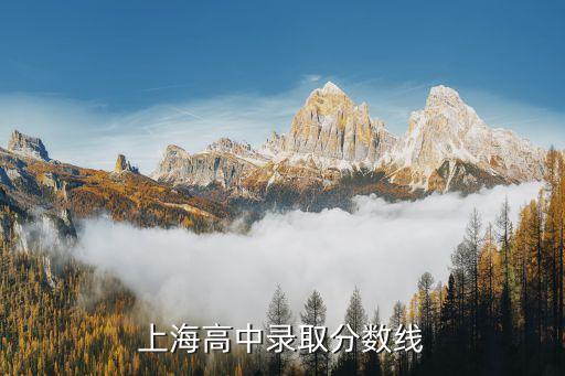上海市蒙山中學考試分數線，上海中考分數線