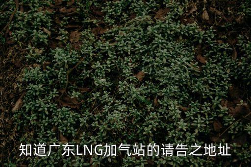 廣州白云區龍湖lng加氣站地址，知道廣東LNG加氣站的請告之地址