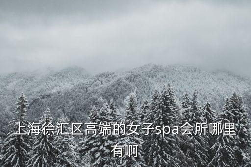 上海徐匯區高端的女子spa會所哪里有啊