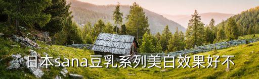 sana系列，誰能介紹一下SANA的海藻系列