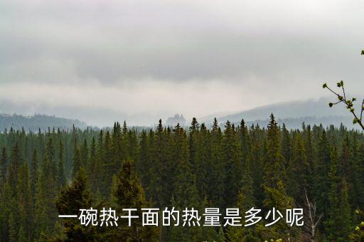 一碗熱干面的熱量是多少呢