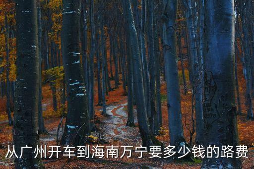 從廣州開車到海南萬寧要多少錢的路費