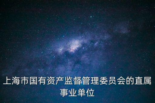 上海市國資系統，誰知道上海市國資委的地址