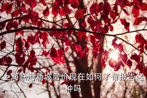 上海市臨港新片市房價，上海臨港新城的滴水湖旁的房價如何啊環(huán)境還好不