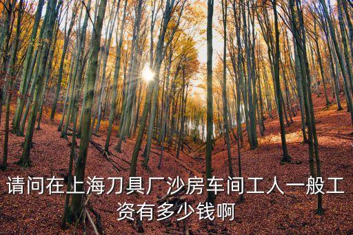請問在上海刀具廠沙房車間工人一般工資有多少錢啊