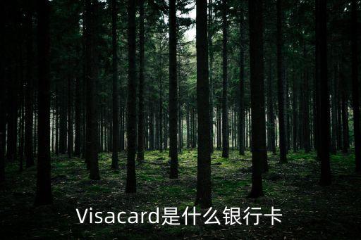 Visacard是什么銀行卡