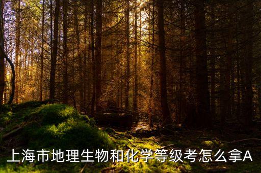 上海市地理生物和化學(xué)等級(jí)考怎么拿A