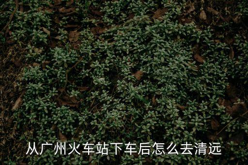 廣州市到清遠市清城區，從廣州火車站下車后怎么去清遠