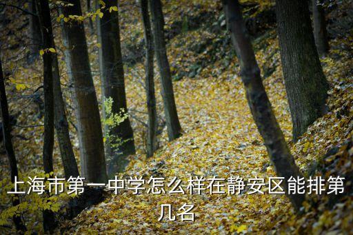 上海市第一中學(xué)怎么樣在靜安區(qū)能排第幾名