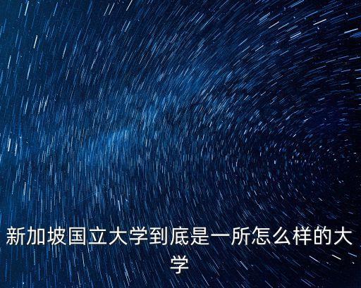 新加波國立大學，新加坡 國立大學 網站