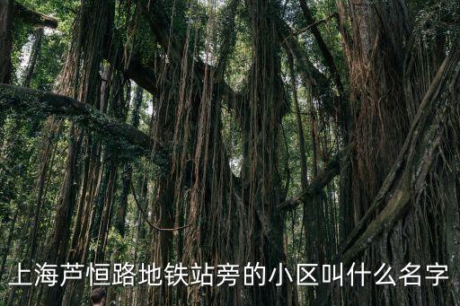 上海市翔昆苑，上海蘆恒路地鐵站旁的小區叫什么名字