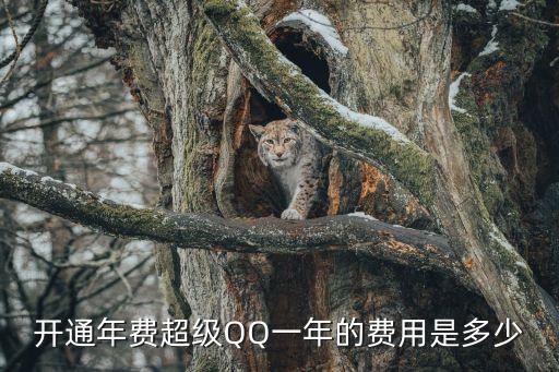 年費用，開通年費超級QQ一年的費用是多少