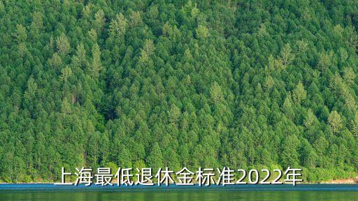 上海最低退休金標準2022年