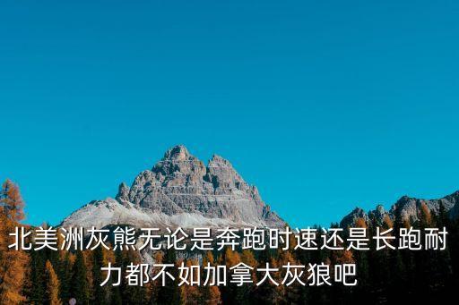 加拿大灰狼，北美洲灰熊無論是奔跑時速還是長跑耐力都不如加拿大灰狼吧