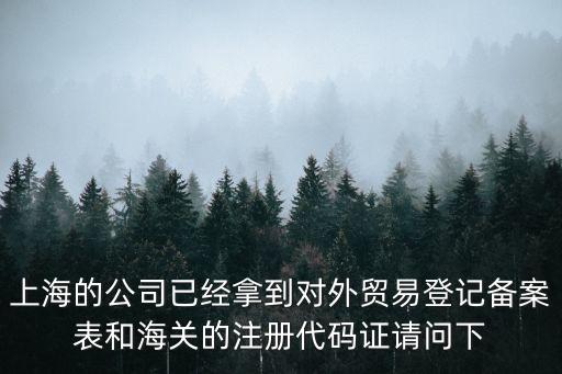 上海的公司已經(jīng)拿到對外貿(mào)易登記備案表和海關(guān)的注冊代碼證請問下