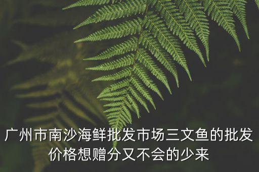 廣州黃沙三文魚今日報價，廣州黃沙水產市場價格
