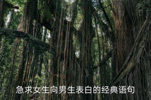 表白男朋友的情話，給男生表白成功的話
