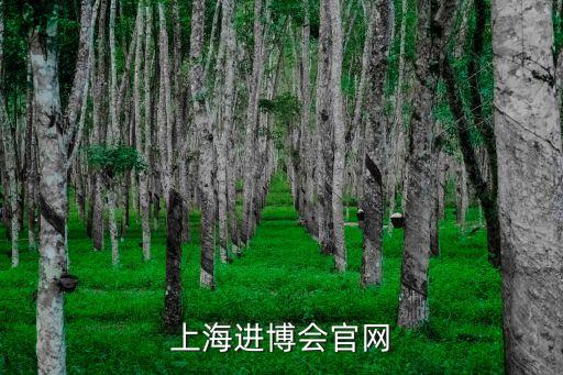 上海市進博虹橋論壇，上海市博會